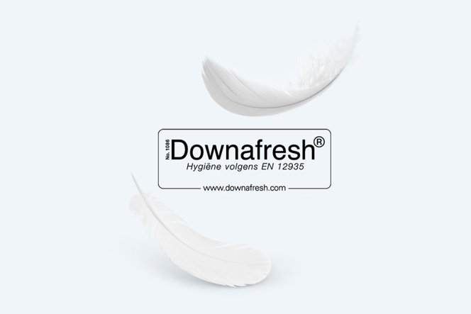 Downafresh